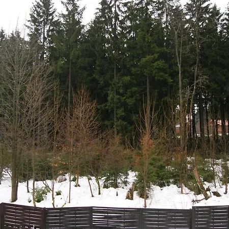 Adler 2-6 Personen Apartment Braunlage
